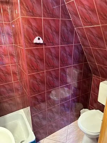 Gronik זקופאנה